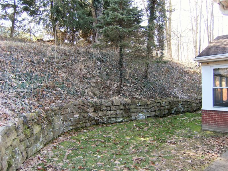 1101 Gringo Road Aliquippa, PA 15001 - Photo 22 of 25 Rear Yard