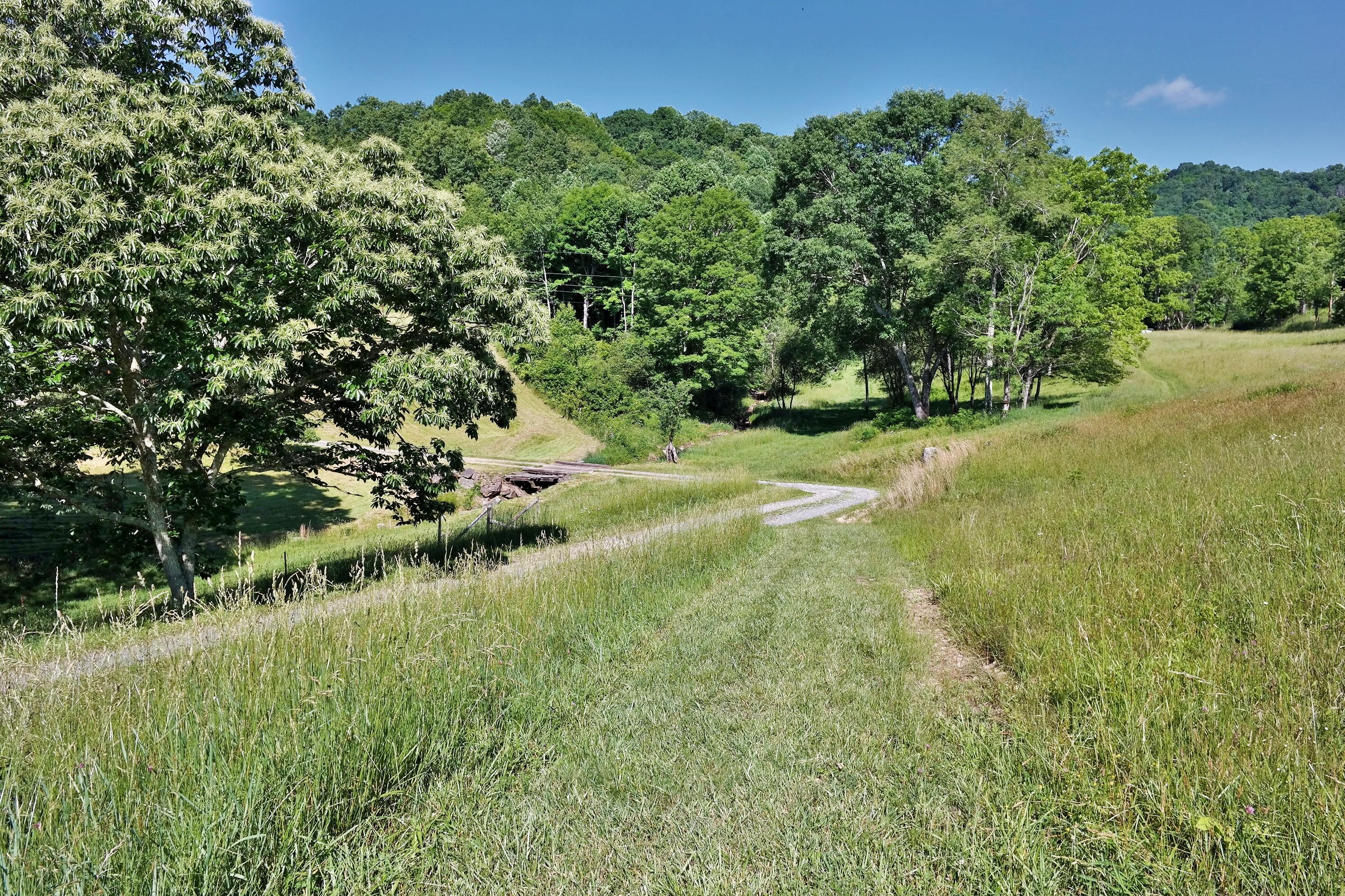 3678 Snake Run Road Alderson, WV 24910 - Photo 100 of 124 Gallery Image 100