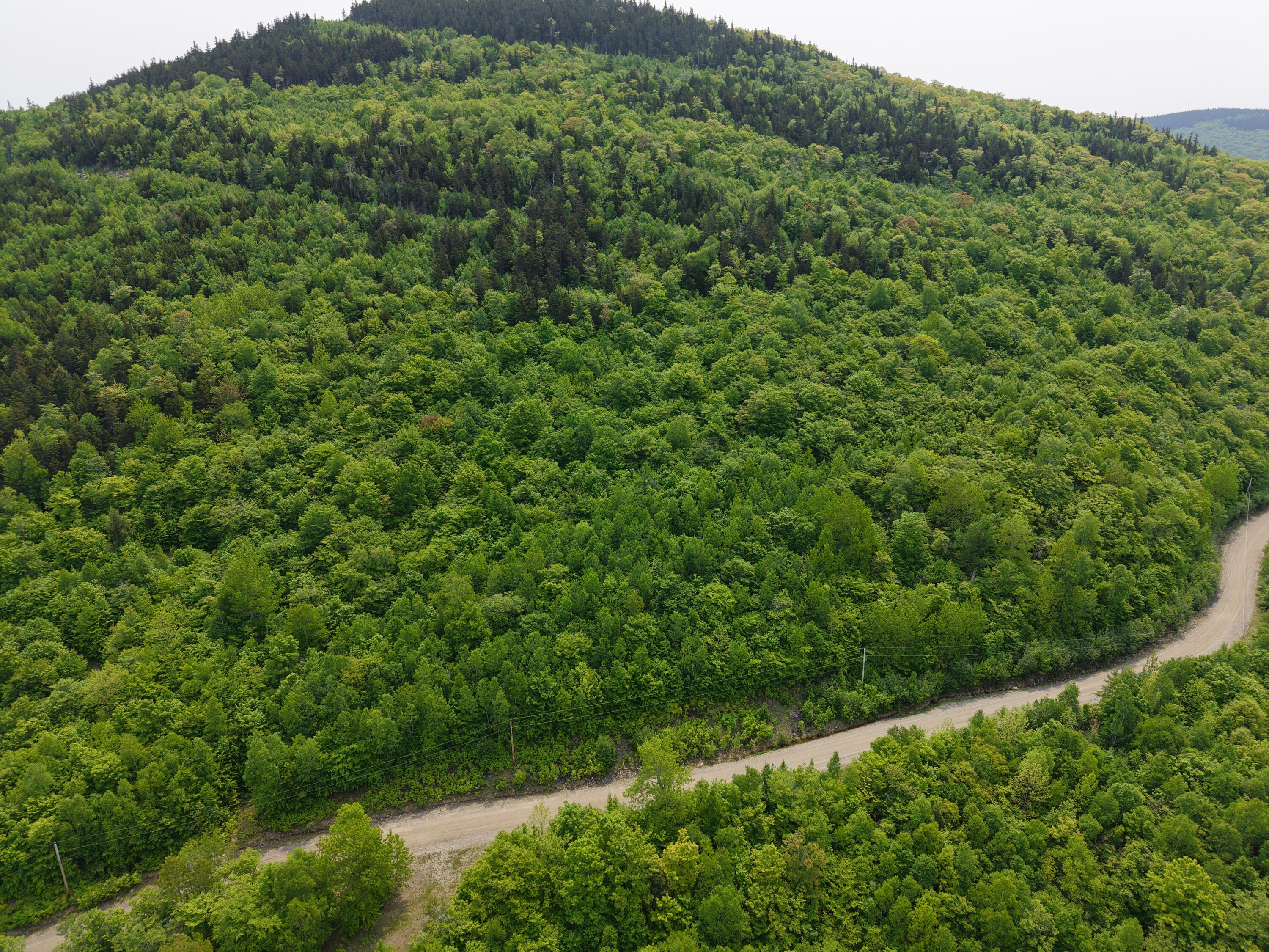 2-3 Ira Mountain Road Kingfield, ME 04947 - Photo 9 of 22 DJI_20250604110036_0021_D