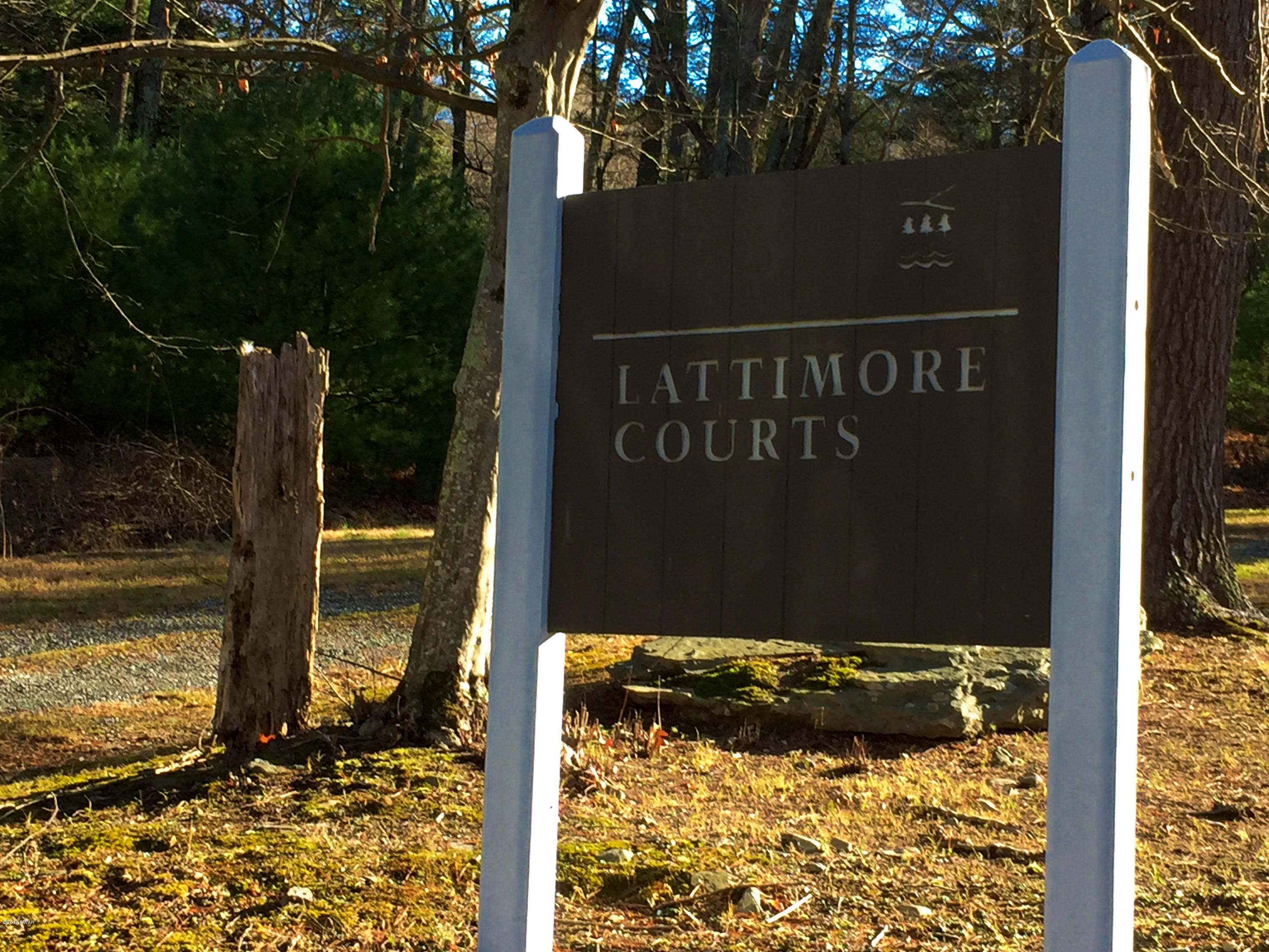 Lot 133 Silver Lake Road Dingmans Ferry, PA 18328 - Photo 15 of 15
