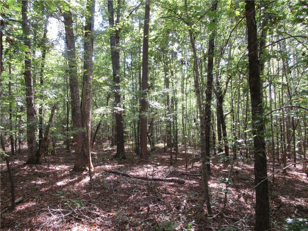 0 West Farmville Road West Auburn, AL 36879 - Photo 1 of 6 Gallery Image 1