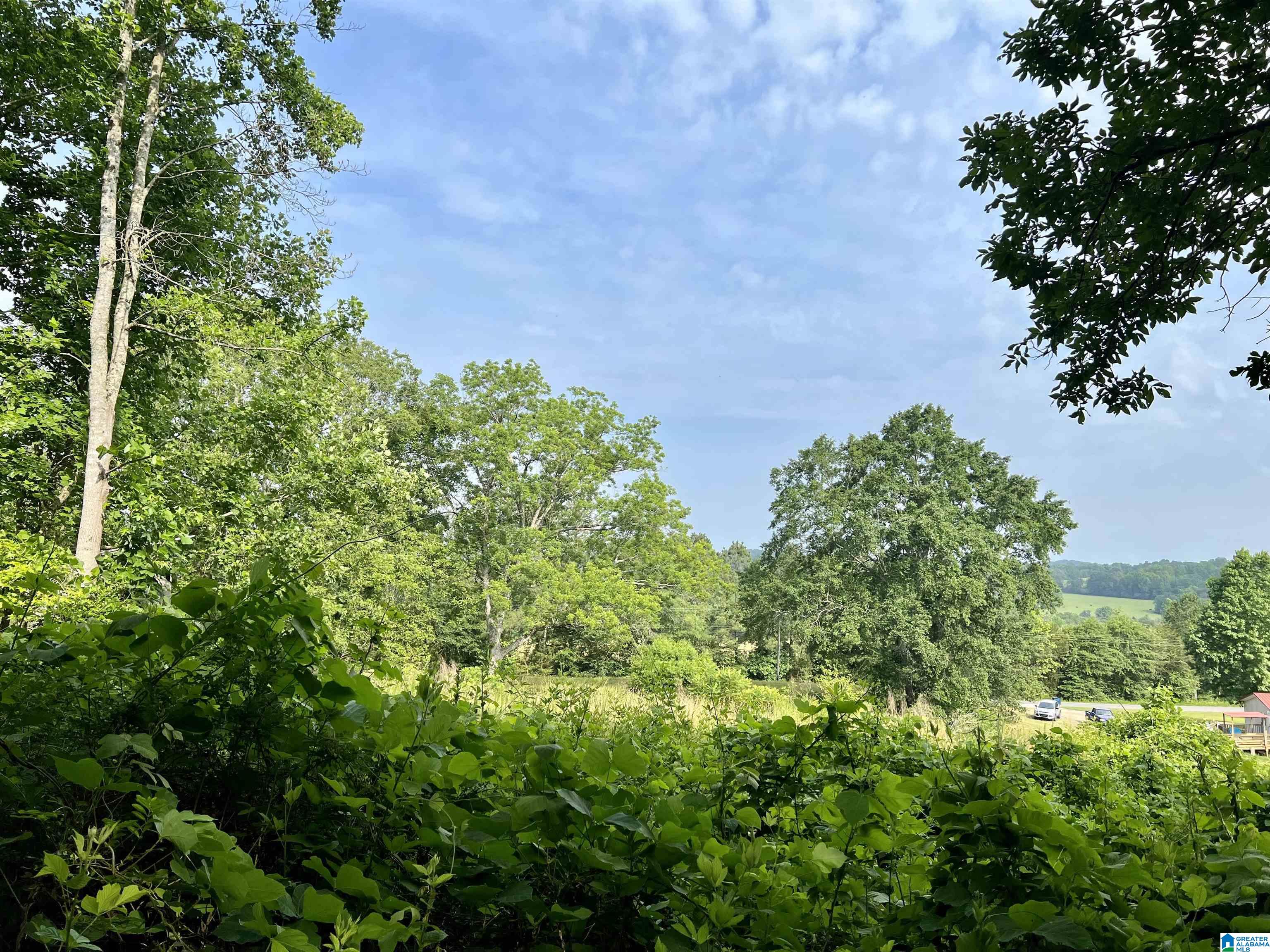 0 Fowler Springs Road, Unit 21 Blountsville, AL 35031 - Photo 5 of 24