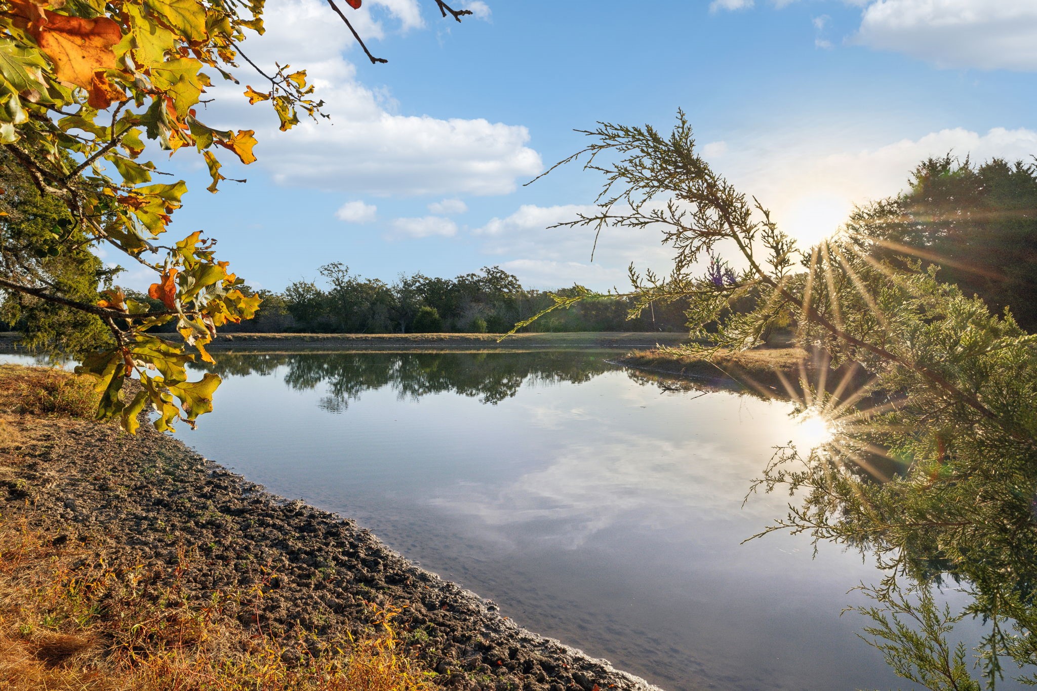 10433 County Road 162 Somerville, TX 77879 - Photo 4 of 40