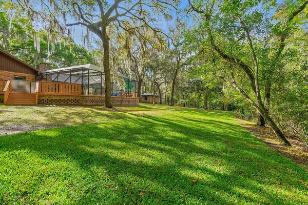a view of a park with large trees