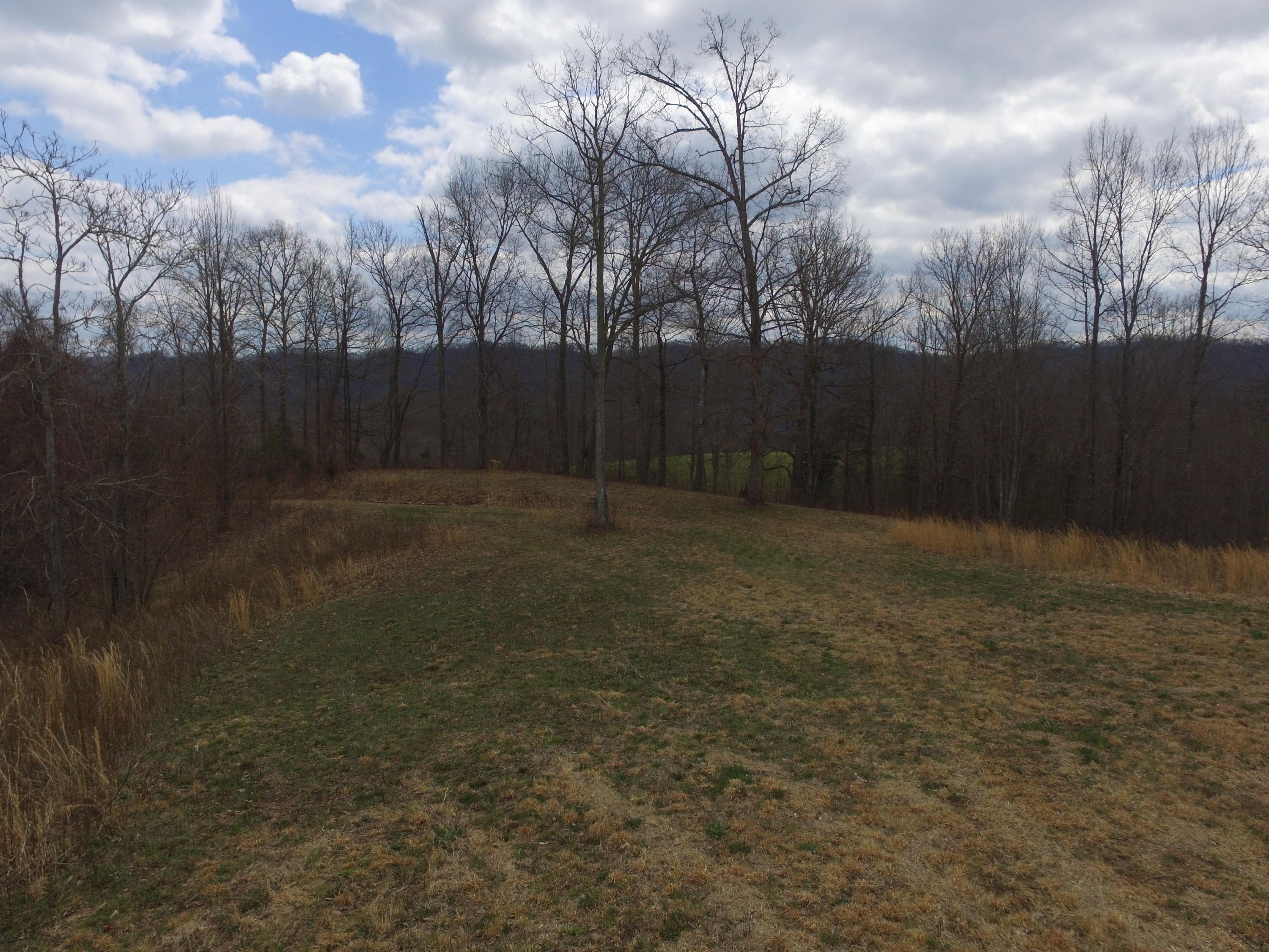 0 Copper Ridge Road Eidson, TN 37731 - Photo 8 of 32 8