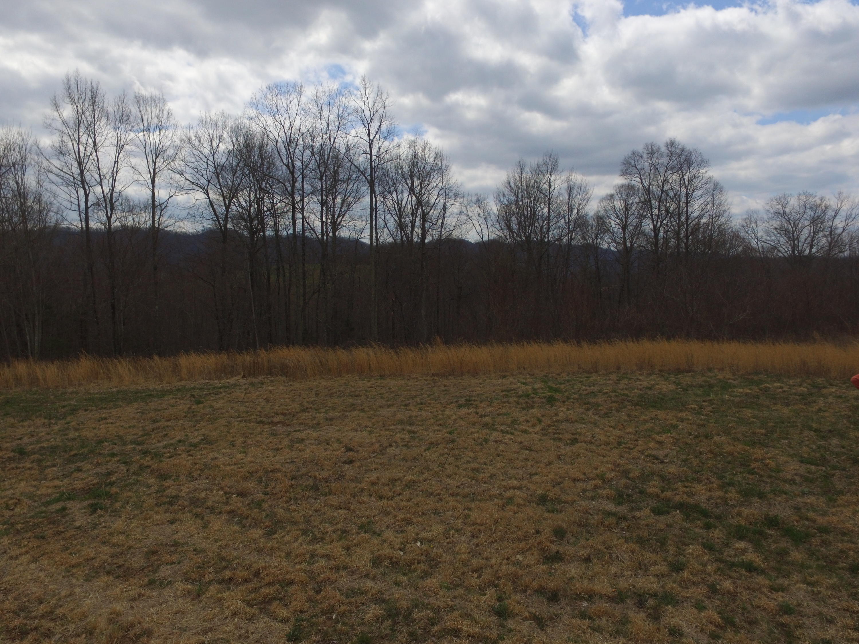 0 Copper Ridge Road Eidson, TN 37731 - Photo 9 of 32 9