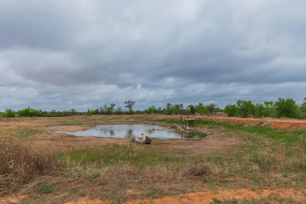 $385,000 | 4431 County Road 18, Clarendon, TX 79226