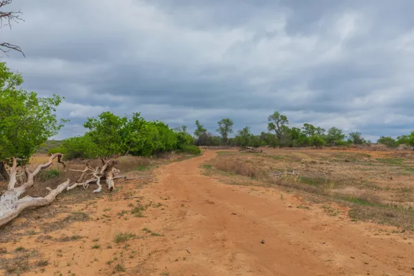 $385,000 | 4431 County Road 18, Clarendon, TX 79226