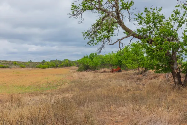 $385,000 | 4431 County Road 18, Clarendon, TX 79226