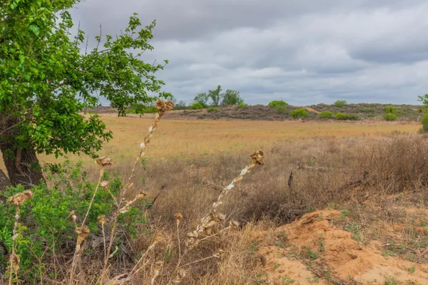 $385,000 | 4431 County Road 18, Clarendon, TX 79226