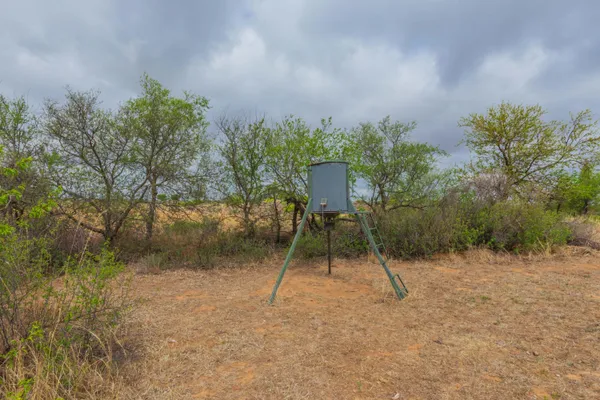 $385,000 | 4431 County Road 18, Clarendon, TX 79226