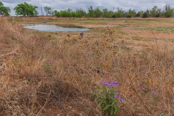 $385,000 | 4431 County Road 18, Clarendon, TX 79226