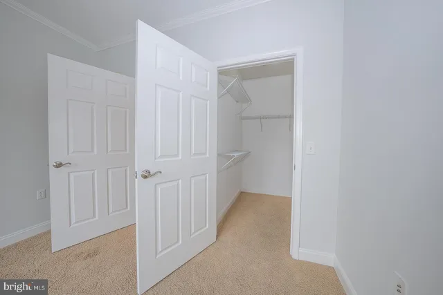 a bathroom with a shower and a toilet