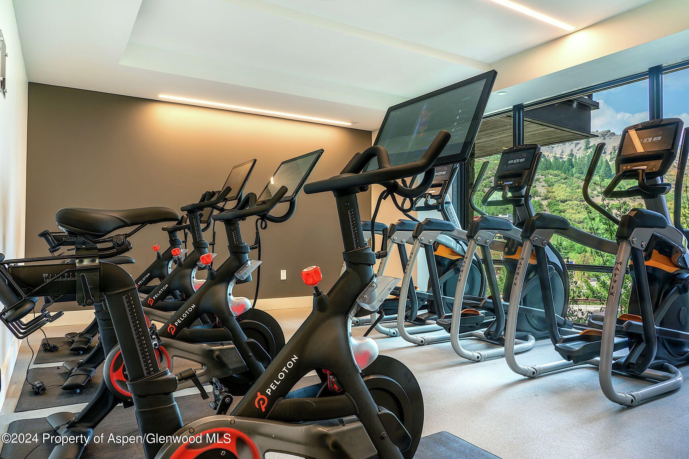 77 Wood Road, Unit 304EAST Snowmass Village, CO 81615 - Photo 38 of 56 One Snowmass Fitness