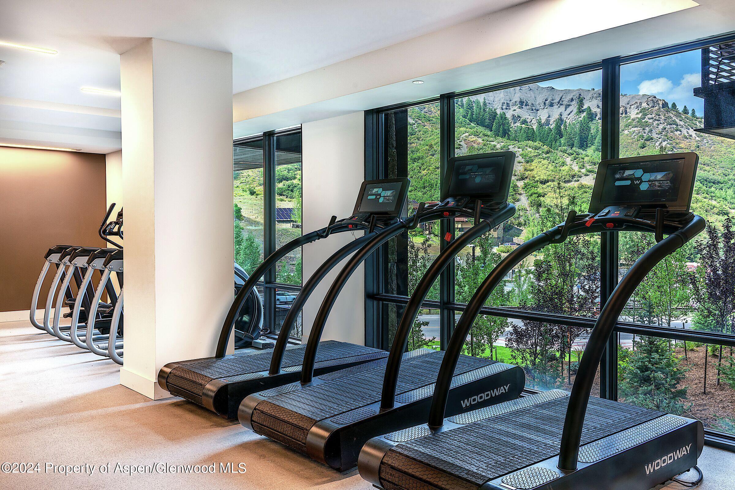 77 Wood Road, Unit 304EAST Snowmass Village, CO 81615 - Photo 39 of 56 One Snowmass Fitness