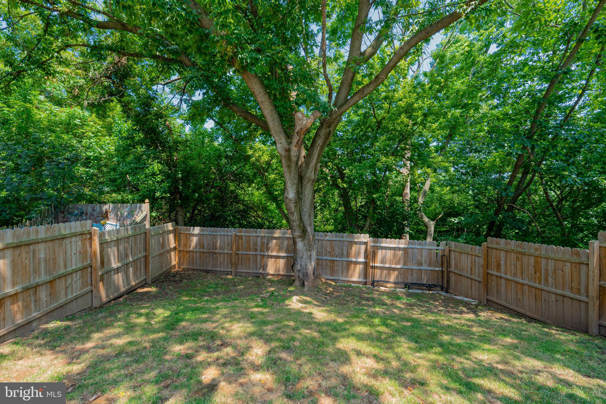 43 Evergreen Lane Phoenixville, PA 19460 - Photo 27 of 30 Backyard