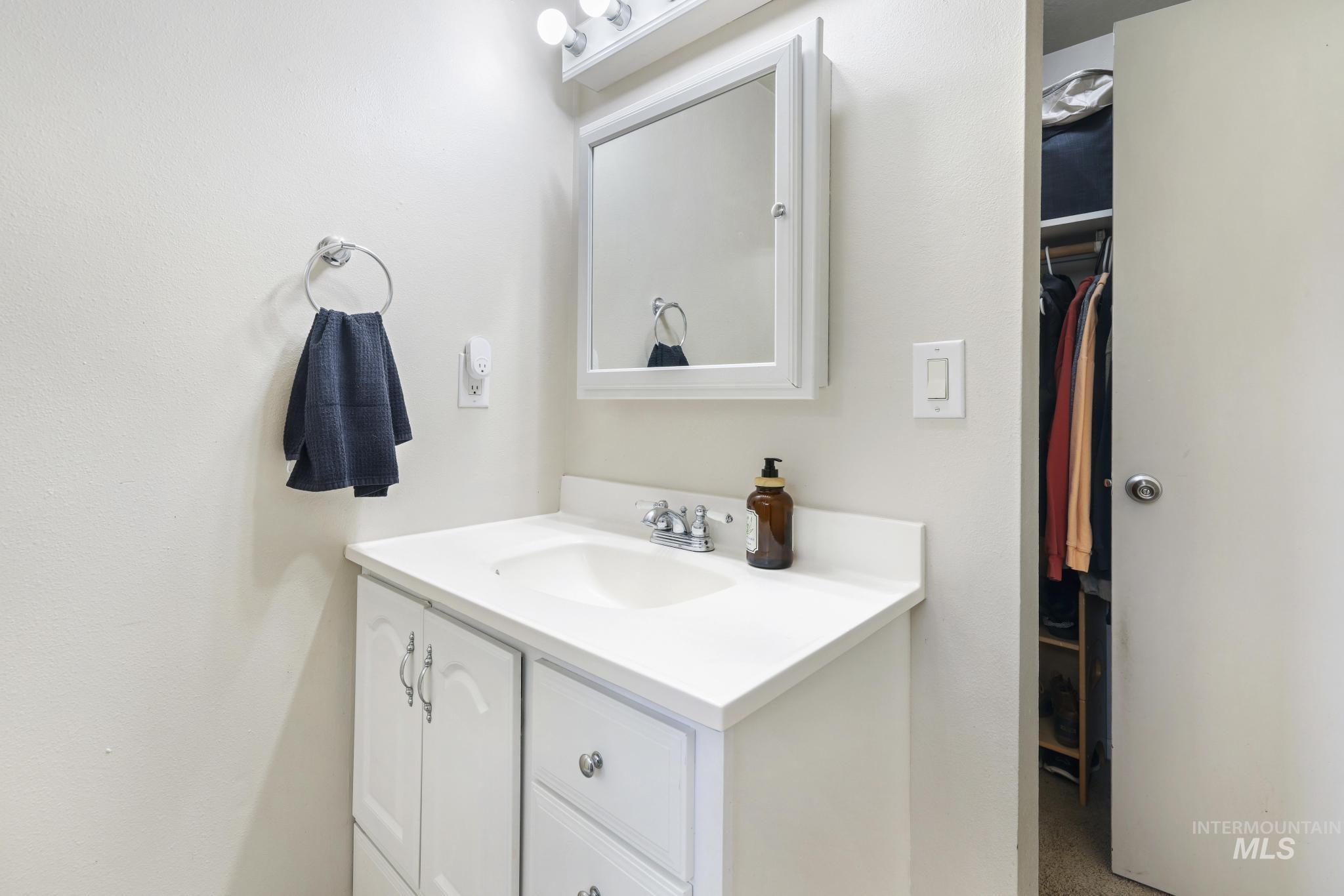 433 Ridgeway Drive Twin Falls, ID 83301 - Photo 15 of 18 Bathroom featuring vanity and a walk in closet