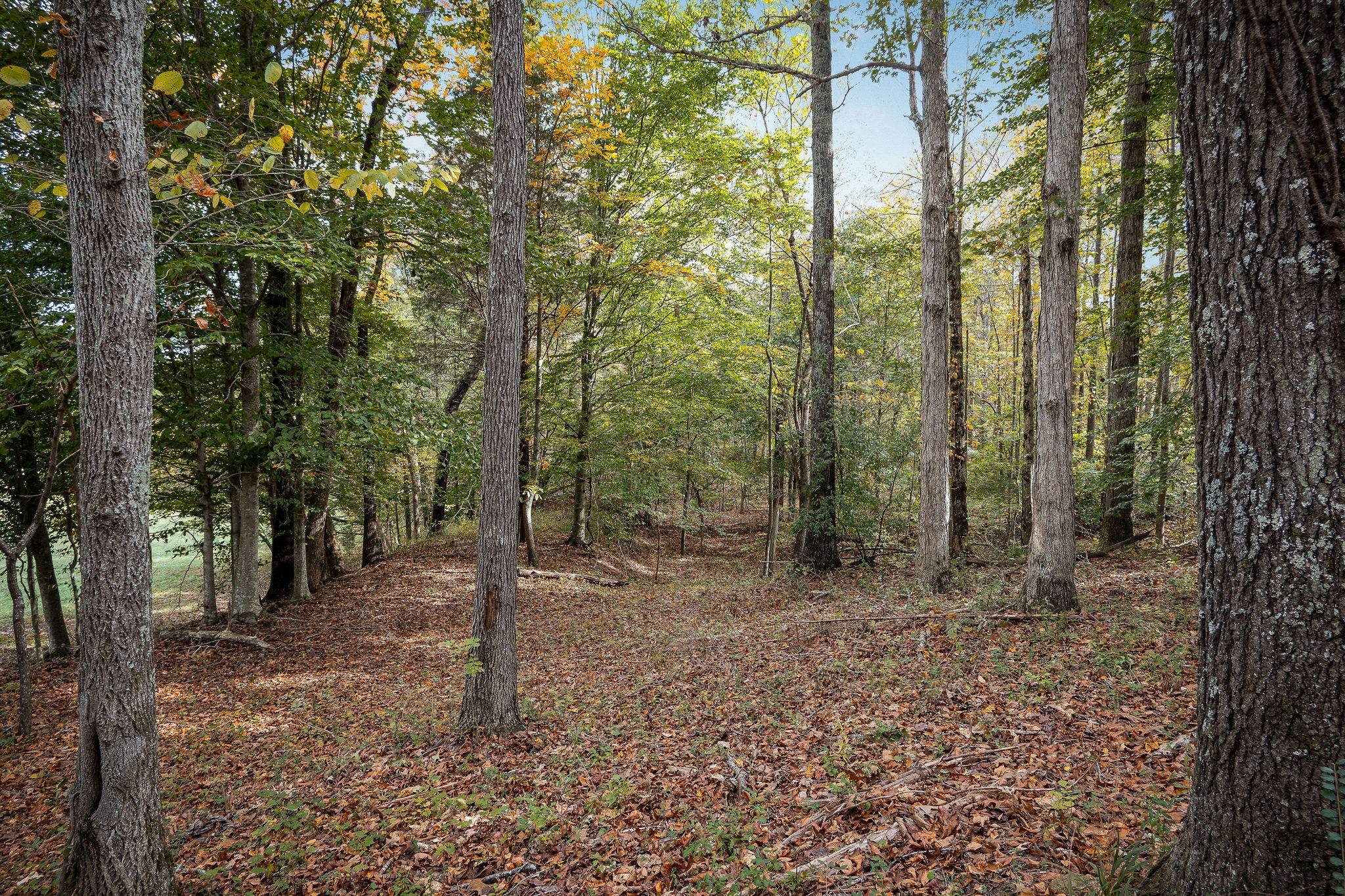 0 Goodbar Road Rock Island, TN 38581 - Photo 27 of 41 Gallery Image 27