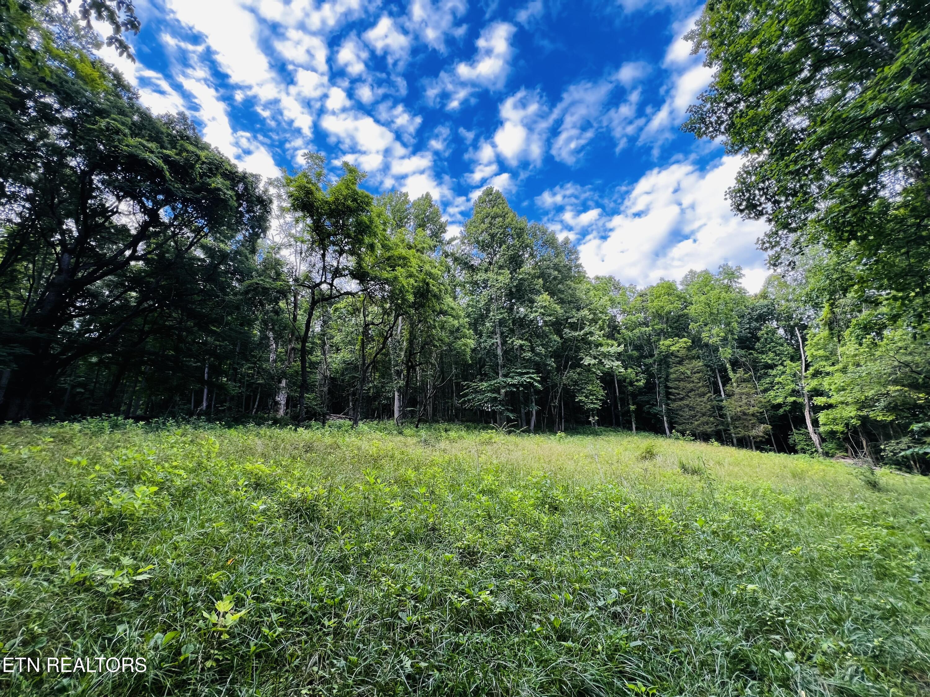 Tbd Sandy Ridge Road Jonesville, VA 24263 - Photo 12 of 16 IMG_1621
