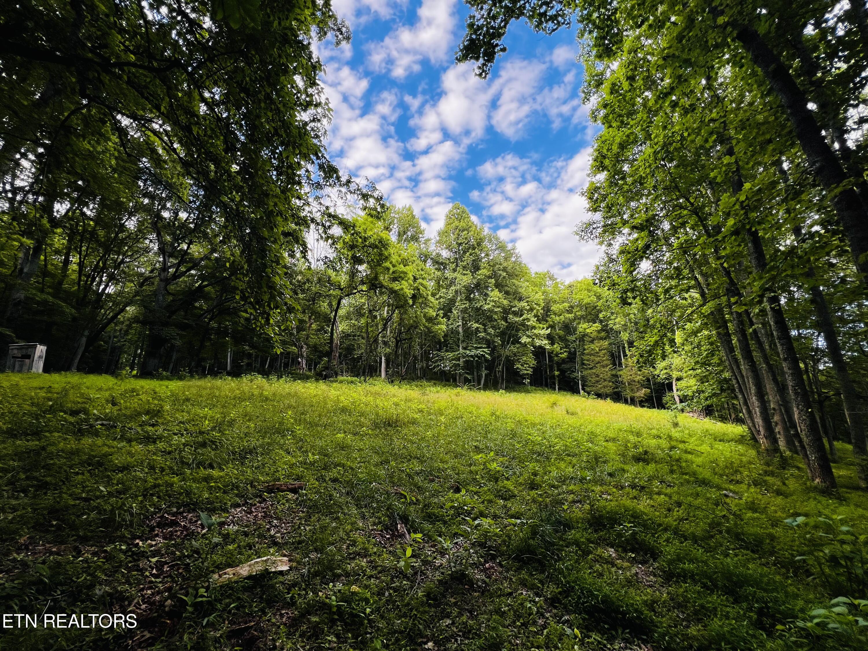 Tbd Sandy Ridge Road Jonesville, VA 24263 - Photo 14 of 16 IMG_1618