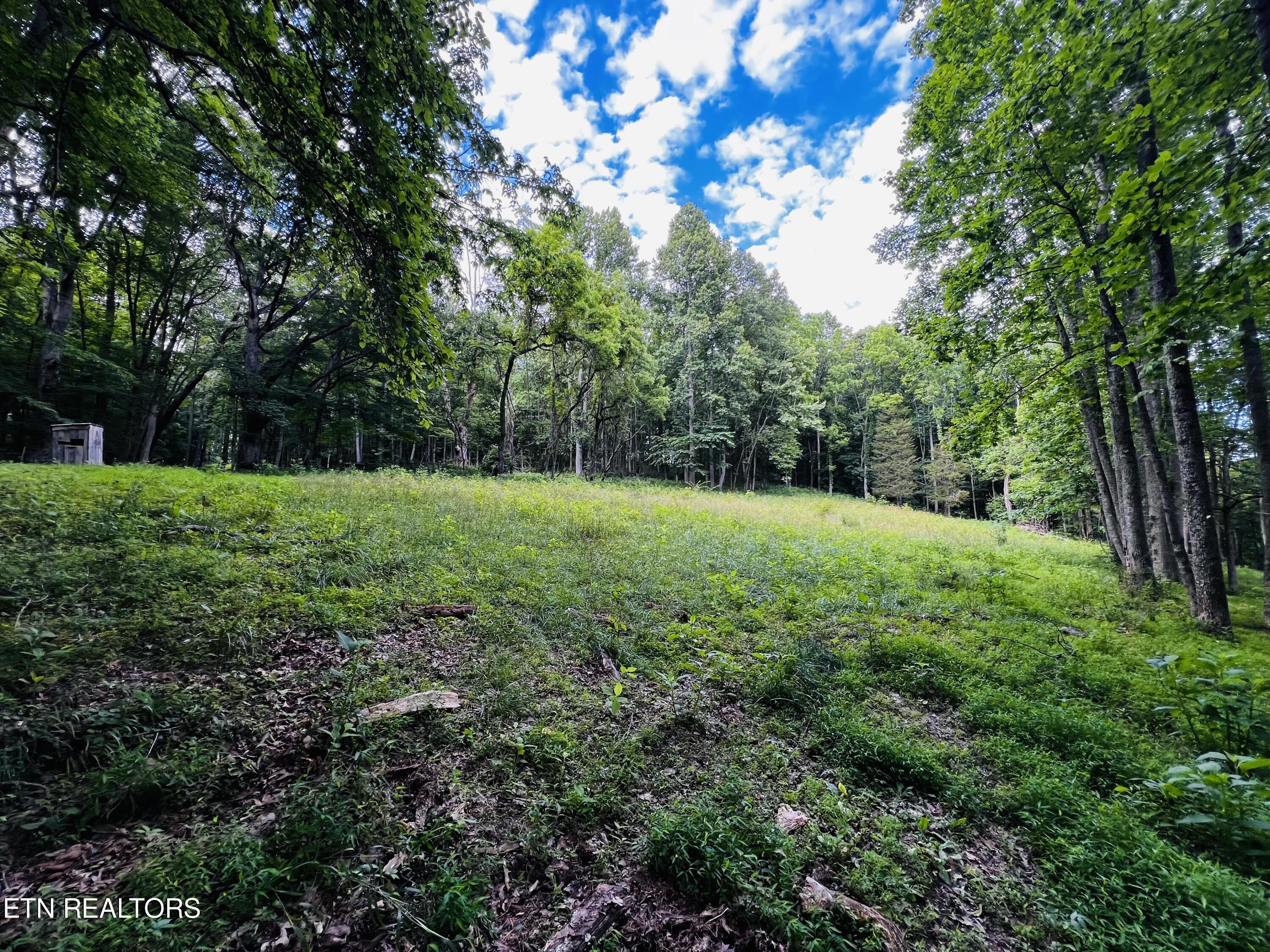Tbd Sandy Ridge Road Jonesville, VA 24263 - Photo 15 of 16 IMG_1617