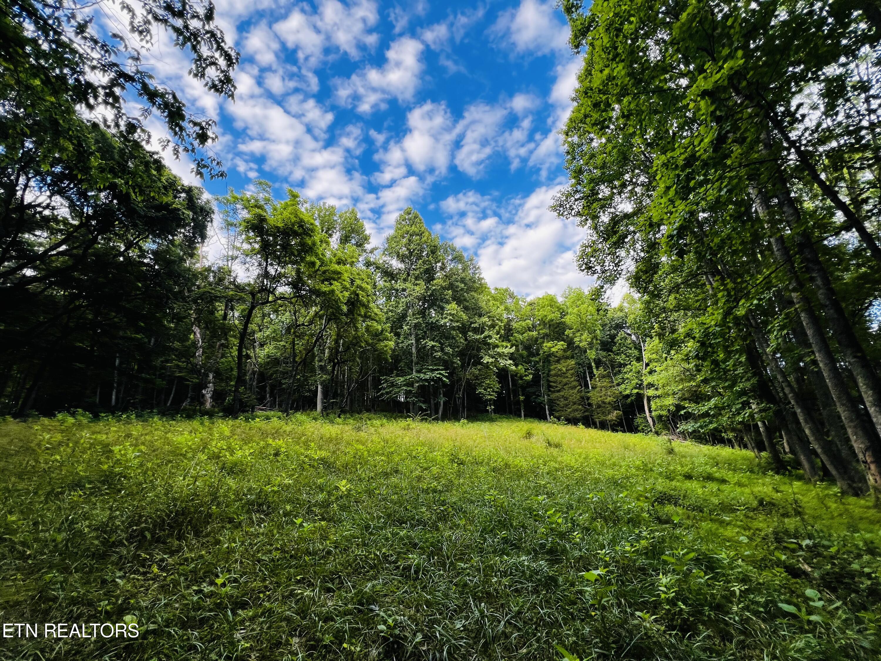 Tbd Sandy Ridge Road Jonesville, VA 24263 - Photo 16 of 16 IMG_1620