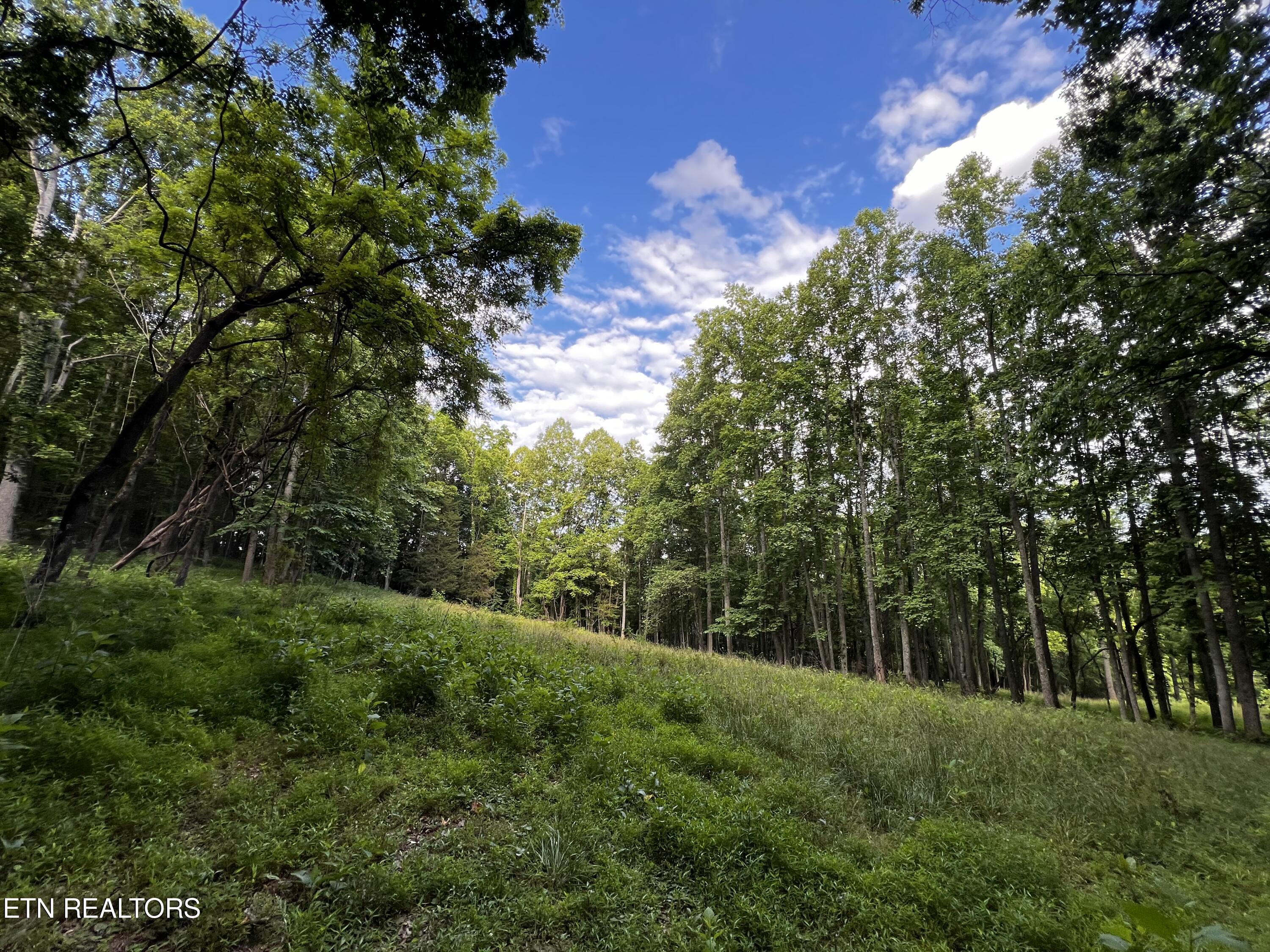 Tbd Sandy Ridge Road Jonesville, VA 24263 - Photo 10 of 16 IMG_1625