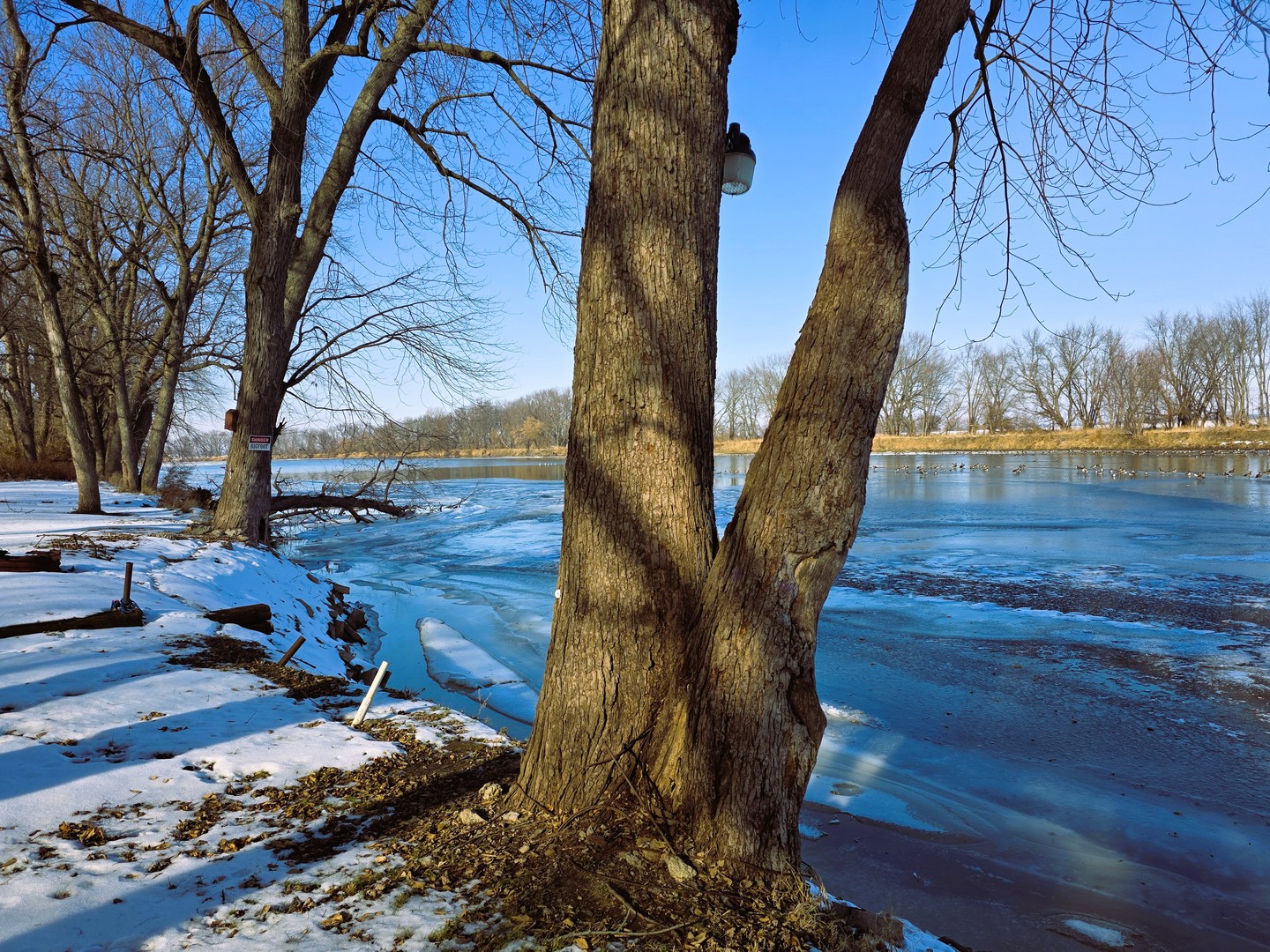 13420 Howard Road Prophetstown, IL 61277 - Photo 13 of 14