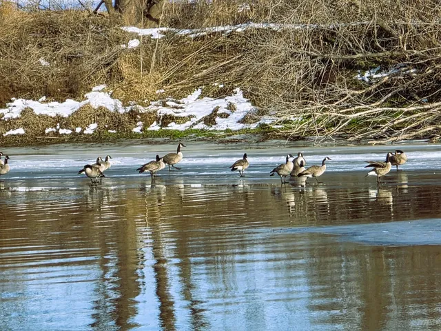 $150,000 | 13420 Howard Road, Prophetstown, IL 61277