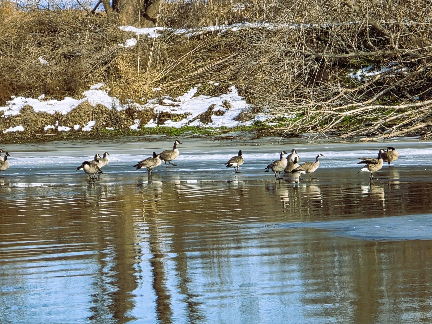 13420 Howard Road Prophetstown, IL 61277 - Photo 14 of 14