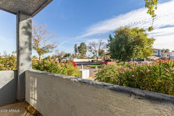 a view of a street with flower plants