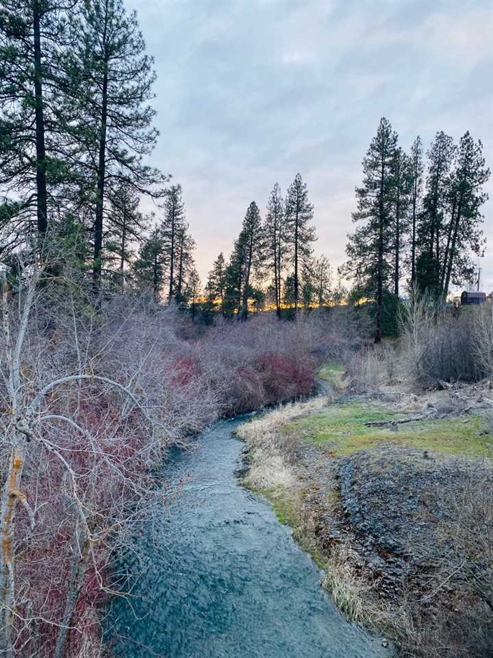 1410 South Ritchey Road Reardan, WA 99029 - Photo 19 of 20