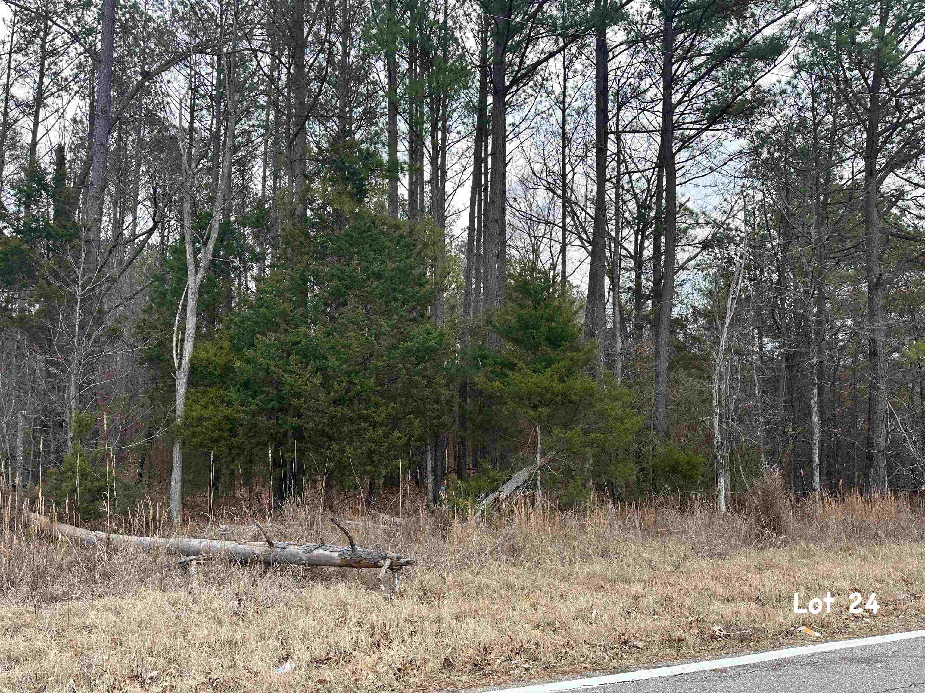 0 Old Stage Road Adamsville, TN 38310 - Photo 3 of 5 Gallery Image 3