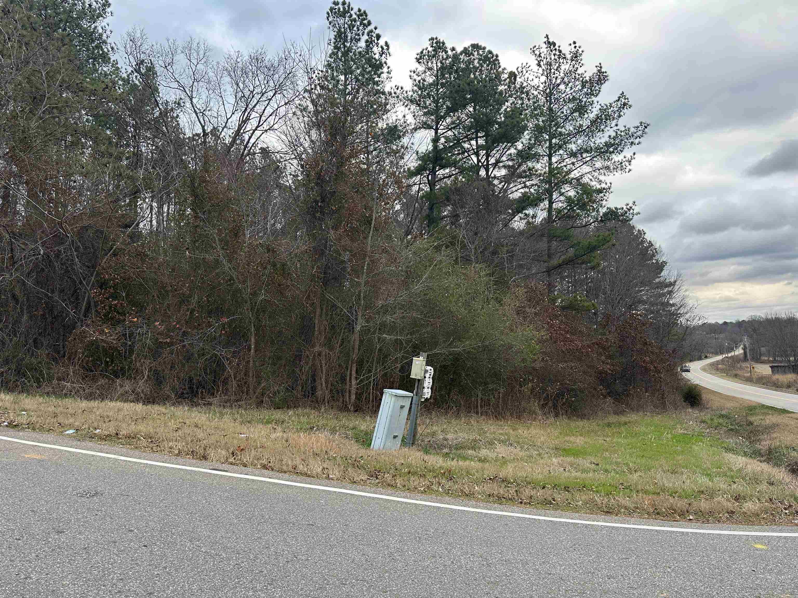 0 Old Stage Road Adamsville, TN 38310 - Photo 4 of 5 Gallery Image 4