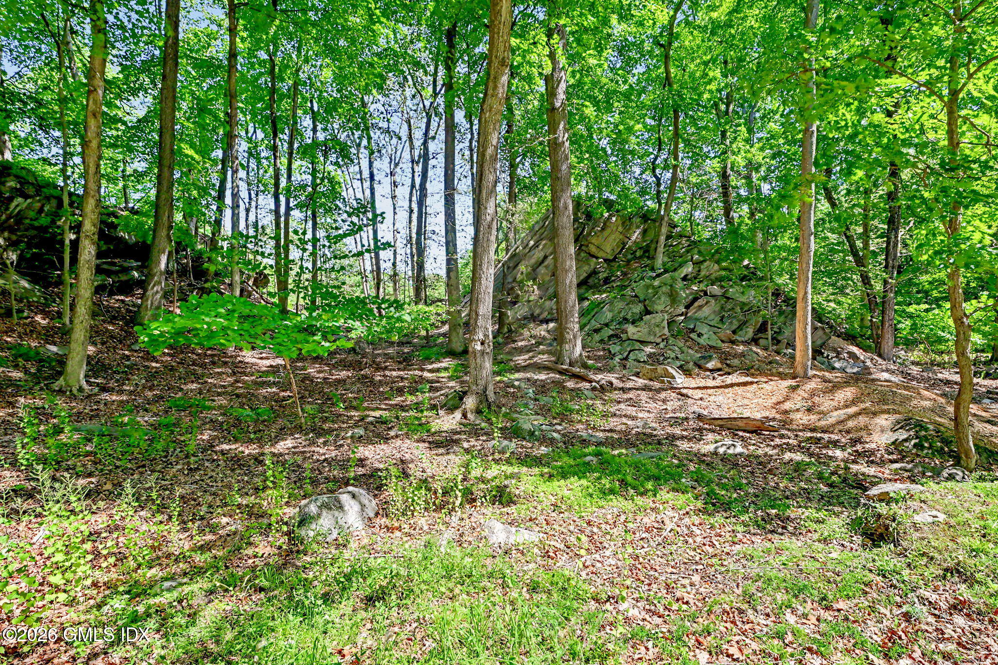 424 Cognewaugh Road Cos Cob, CT 06807 - Photo 41 of 43 50-web-or-mls-424-cognewaugh-rd