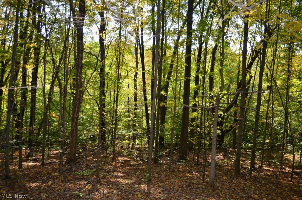 Fairmount Road Newbury, OH 44065 - Photo 10 of 11 Gallery Image 10