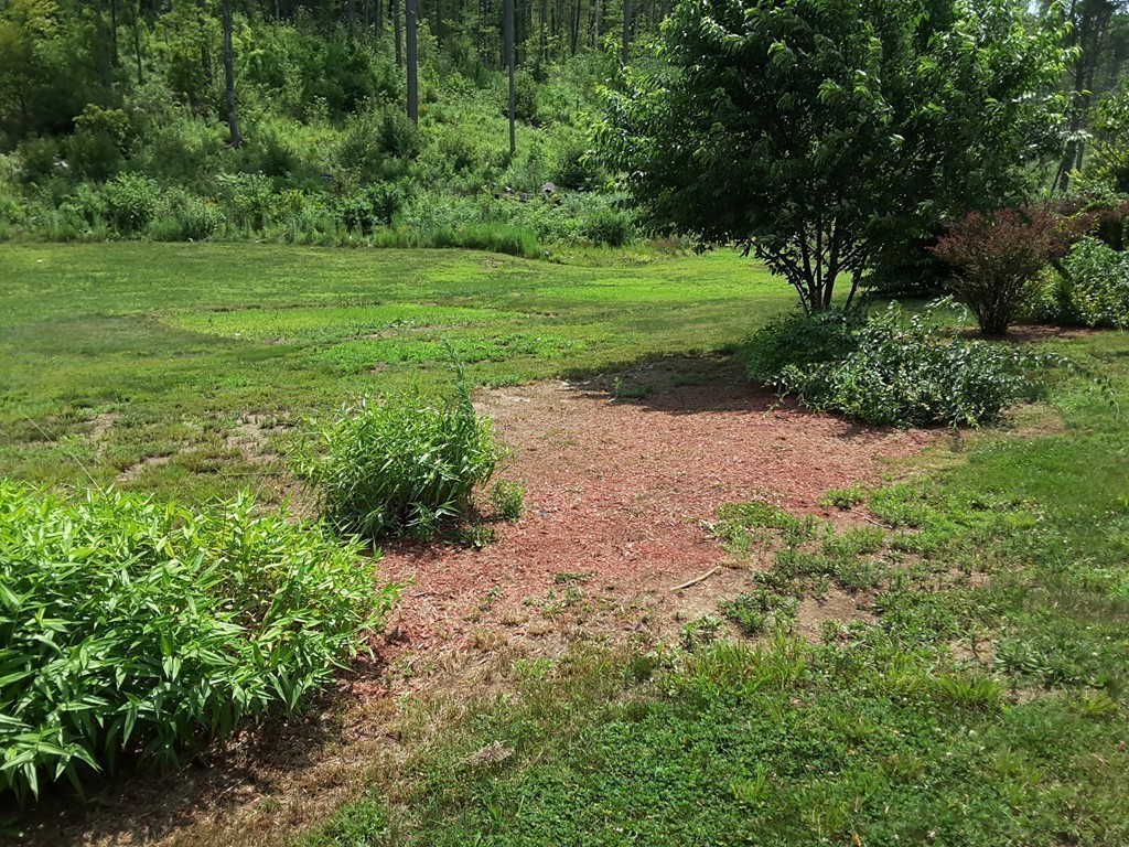 14 Shady Path Ware, MA 01082 - Photo 26 of 30