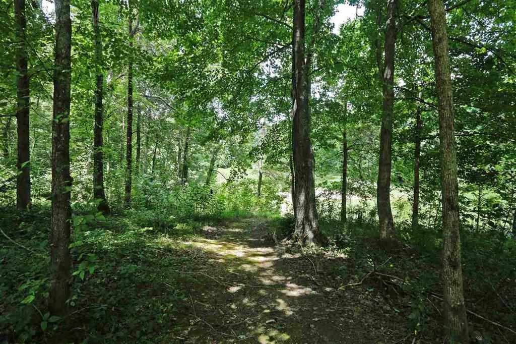 0 Slick Reedy Road Doyle, TN 38559 - Photo 1 of 1 Gallery Image 1