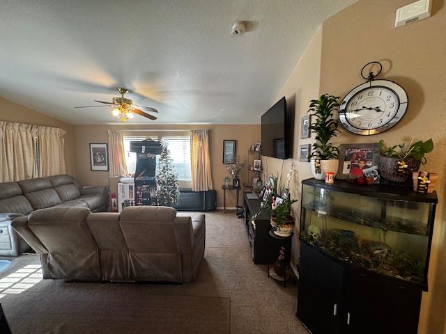 2900 Fairview Road, Unit 4 Hollister, CA 95023 - Photo 8 of 15 Gallery Image 8