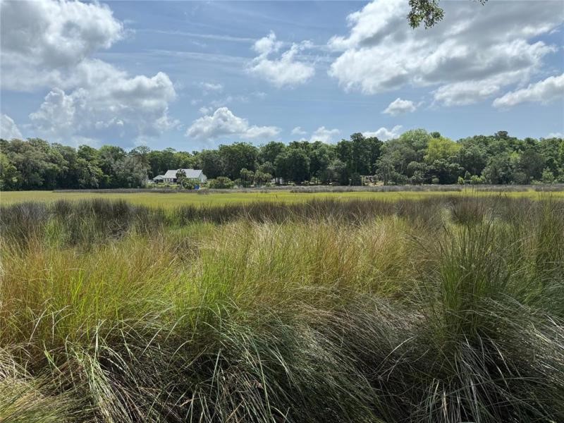 29078 Grandview Manor Yulee, FL 32097 - Photo 1 of 18 view of lot