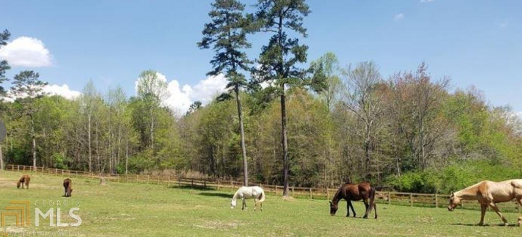 3616 Level Grove Road Cornelia, GA 30531 - Photo 1 of 1 Gallery Image 1