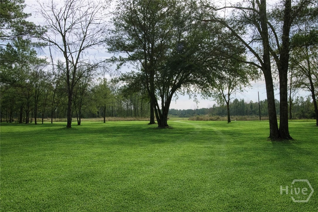 2879 Seed Tick Road Ellabell, GA 31308 - Photo 4 of 19