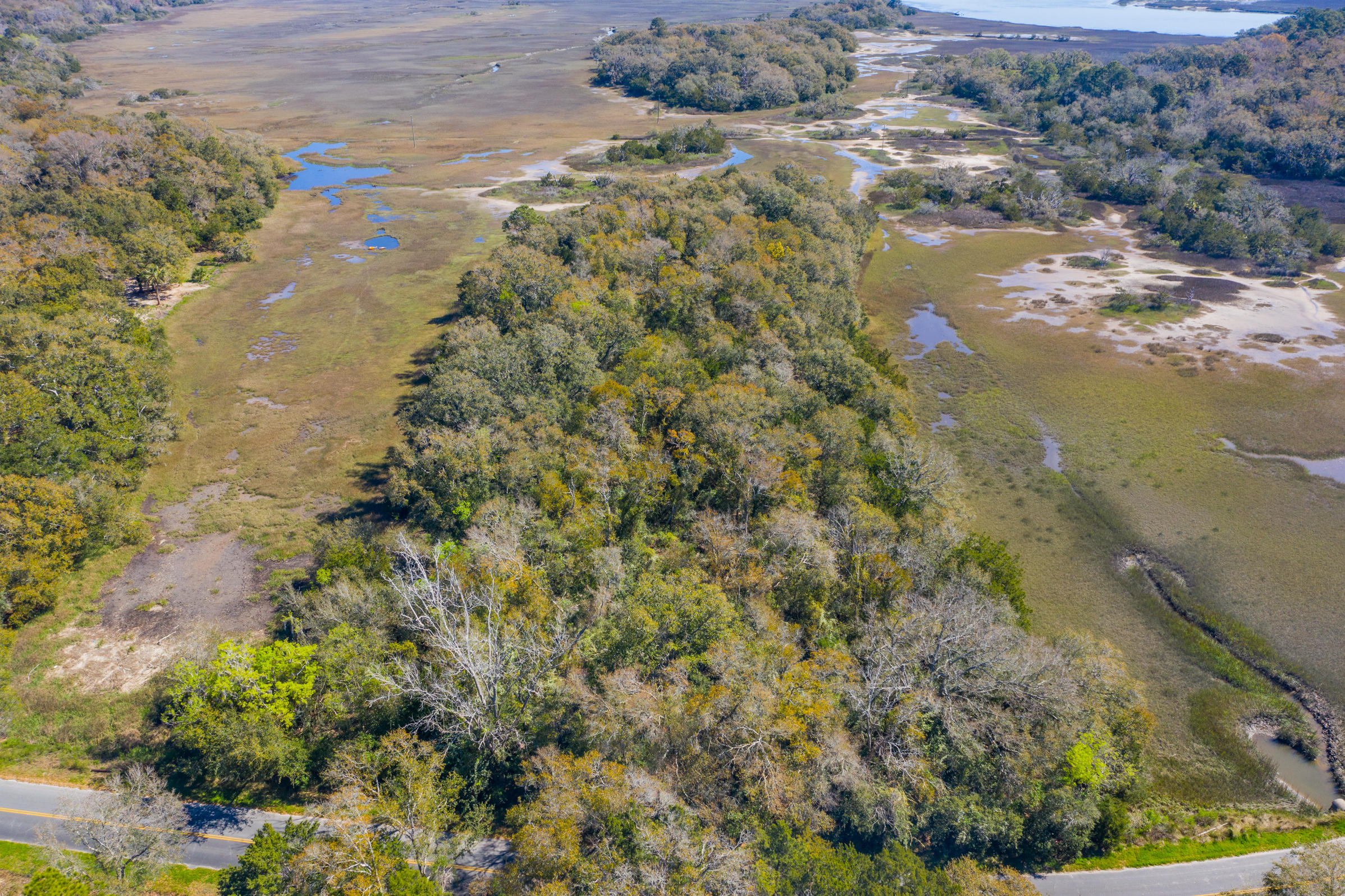 2688 Cherry Point Road Wadmalaw Island, SC 29487 - Photo 2 of 6 Aerial Overlooking Land_816