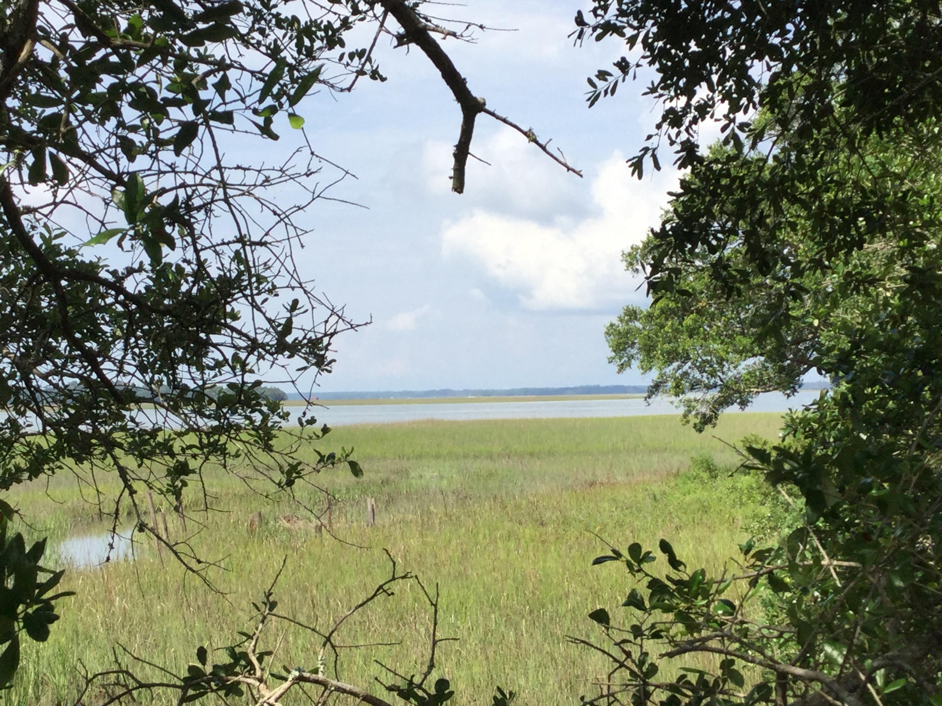 2688 Cherry Point Road Wadmalaw Island, SC 29487 - Photo 4 of 6 Looking from land