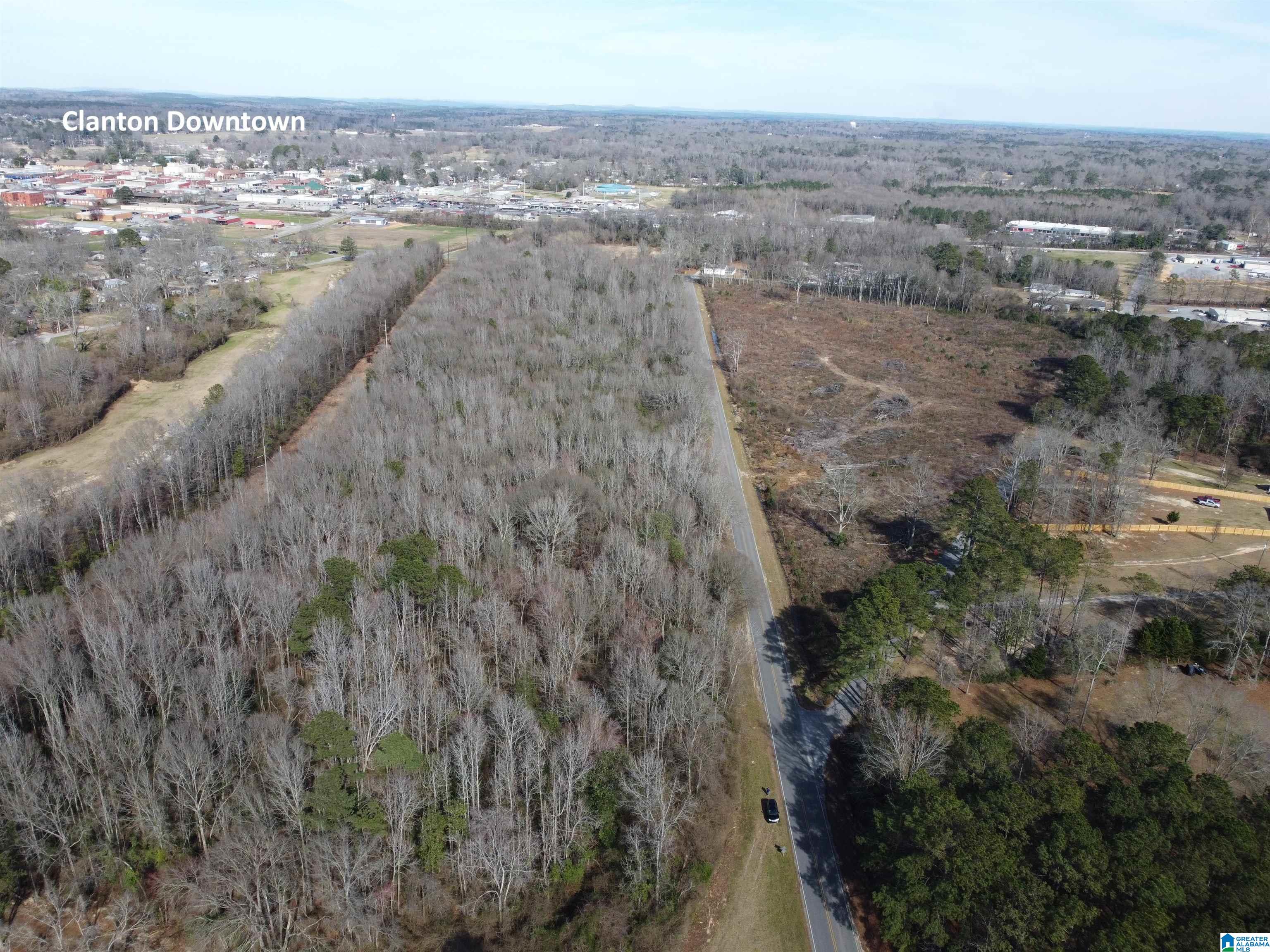 0 Kincheon Road Clanton, AL 35045 - Photo 2 of 45