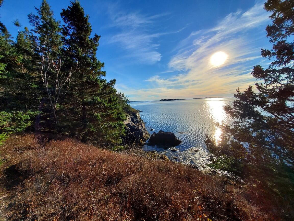 Lot 7 South Ocean Road Machiasport, ME 04655 - Photo 31 of 44 looking SW
