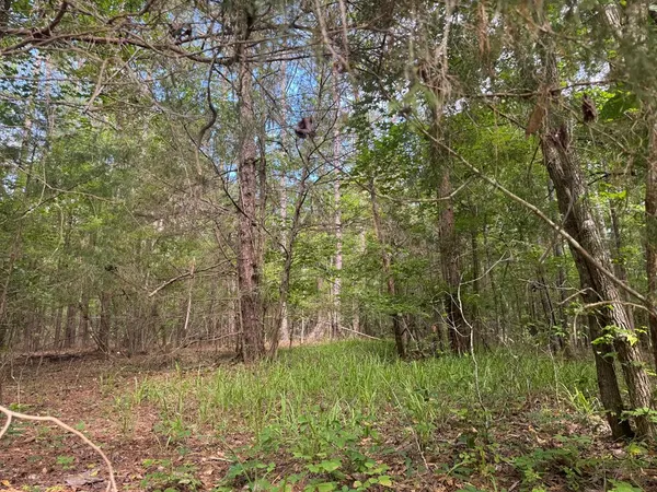 $14,000 | 0 Melody Drive, Waverly Hall, GA 31831