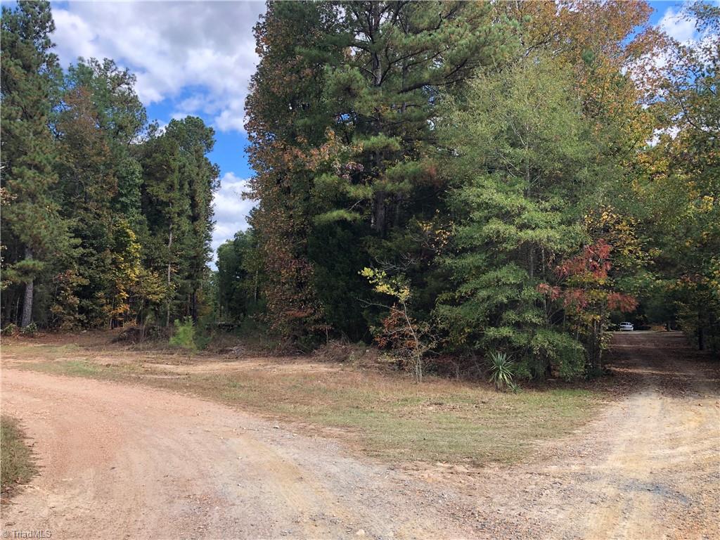 0 Ashwood Road Robbins, NC 27325 - Photo 2 of 4 Front Lot Access