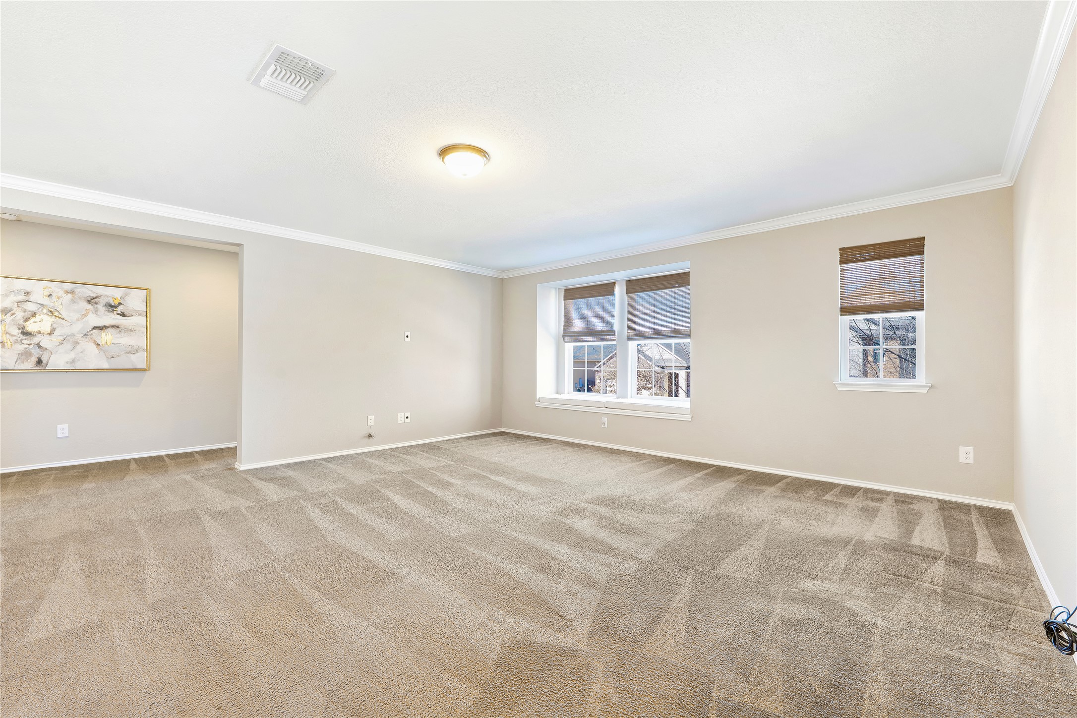 207 Telluride Drive Georgetown, TX 78626 - Photo 26 of 40 Spare room with crown molding and light colored carpet