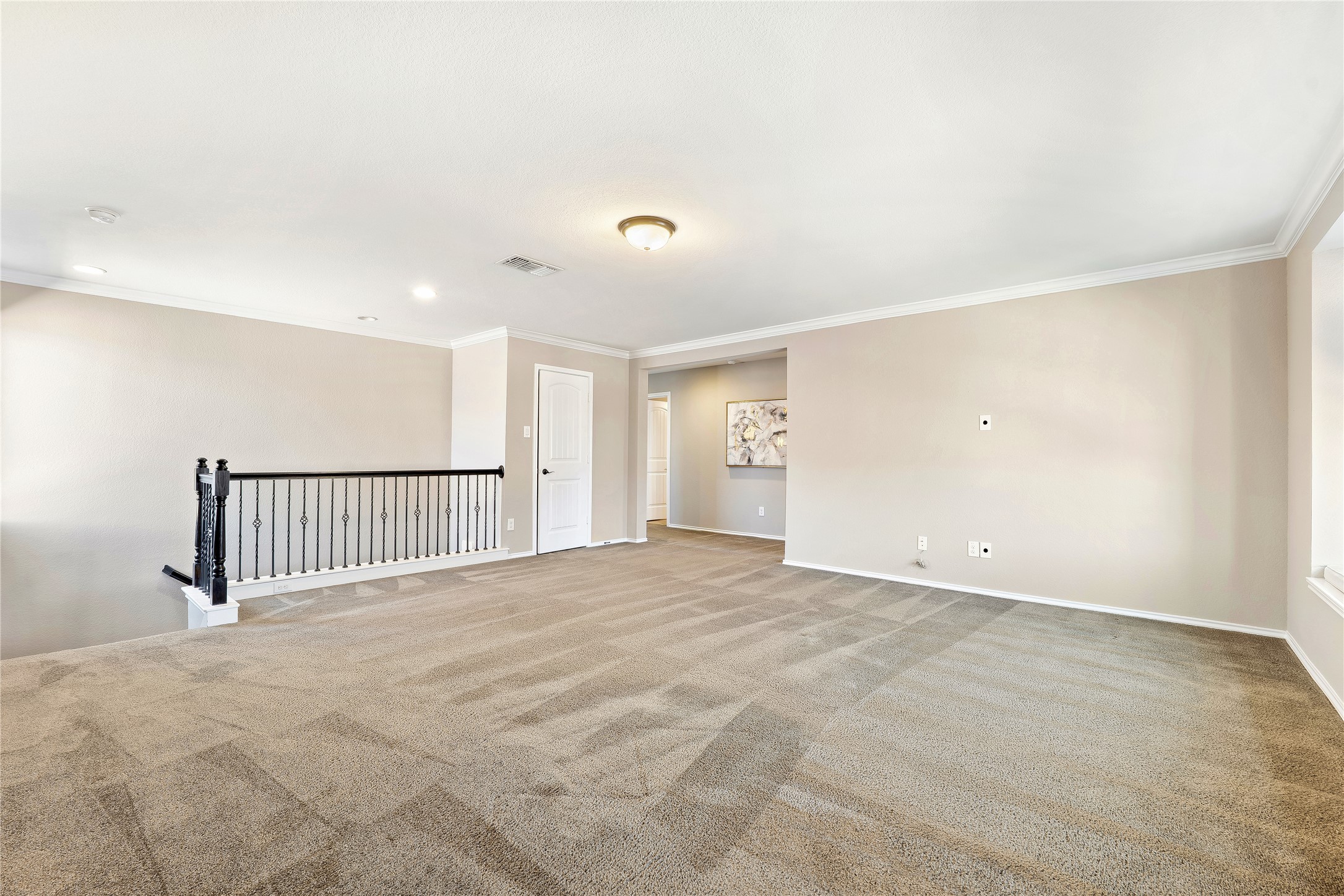 207 Telluride Drive Georgetown, TX 78626 - Photo 27 of 40 Spare room featuring carpet and crown molding and stunning wrought iron.